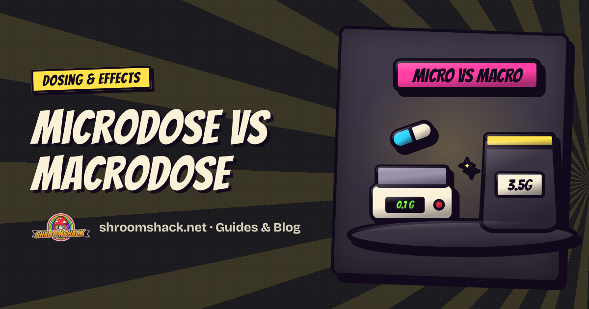 Microdose vs Macrodose: Grams, Formats and Who Each Suits